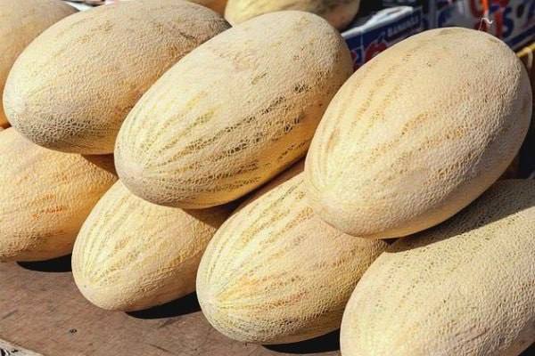 Melon